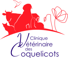 Clinique Vétérinaire des Coquelicots