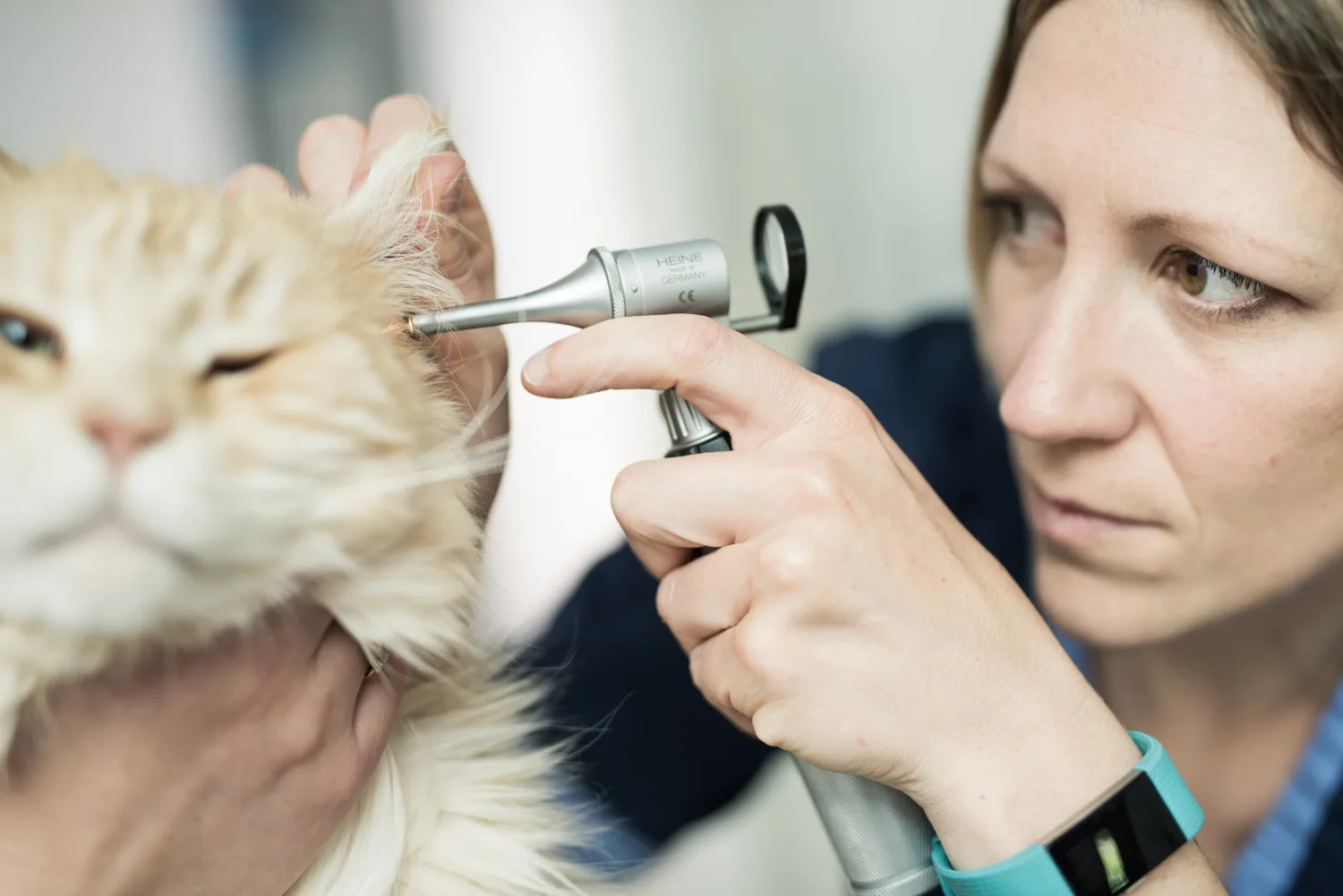 Examen pendant une consultation annuelle de santé