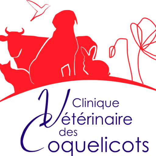 Clinique Vétérinaire des Coquelicots