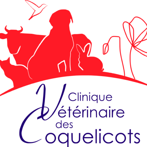 Logo Clinique des coquelicots-Lagnieu