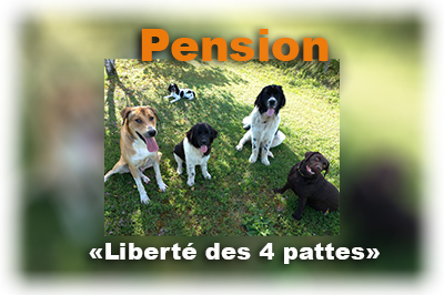 PENSION-Liberté-4-pattes