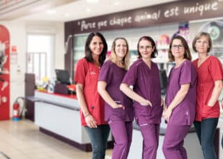 Equipe