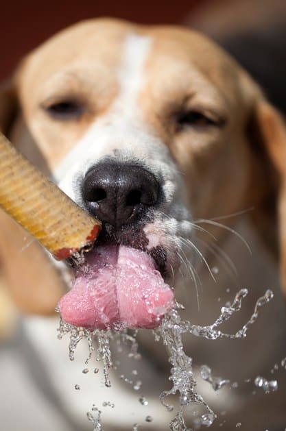 Rincer la bouche en veillant à ce qu'il n'avale pas d'eau