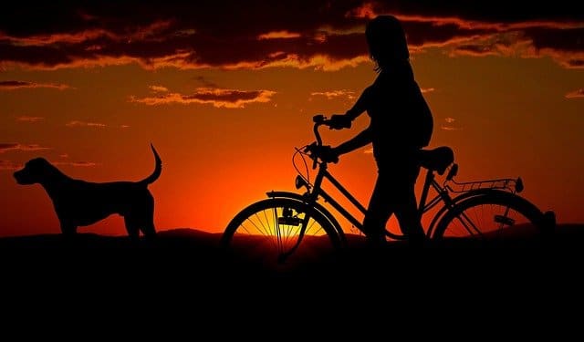 Promenade avec un chien