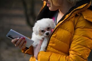 Propriétaire de chien avec un téléphone mobile