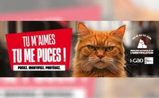 Semaine Nationale de l'Identification 2026 - Tu m'aimes tu me pu