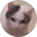 Photo de profil de sylvie S.