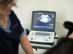 Échographie Echographie