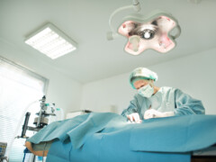 Le DR Bottet en cours de chirurgie Chirurgie