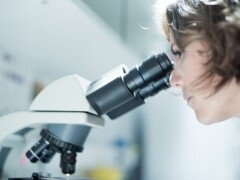 Examen au microscope/Dr Barnett Examen au microscope/Dr Barnett