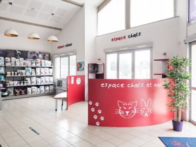 Espace d'accueil