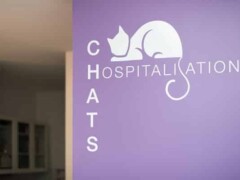 Signalétique hospitalisation