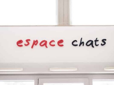 Espace chats