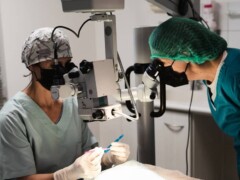 Chirurgie ophtalmique Chirurgie ophtalmique