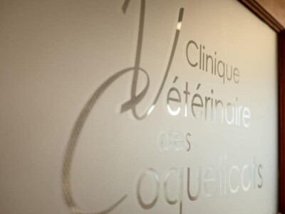 Décoration des vitres