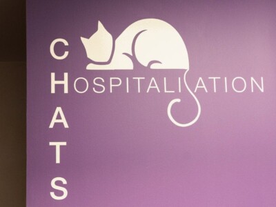 L'entrée de la chatterie